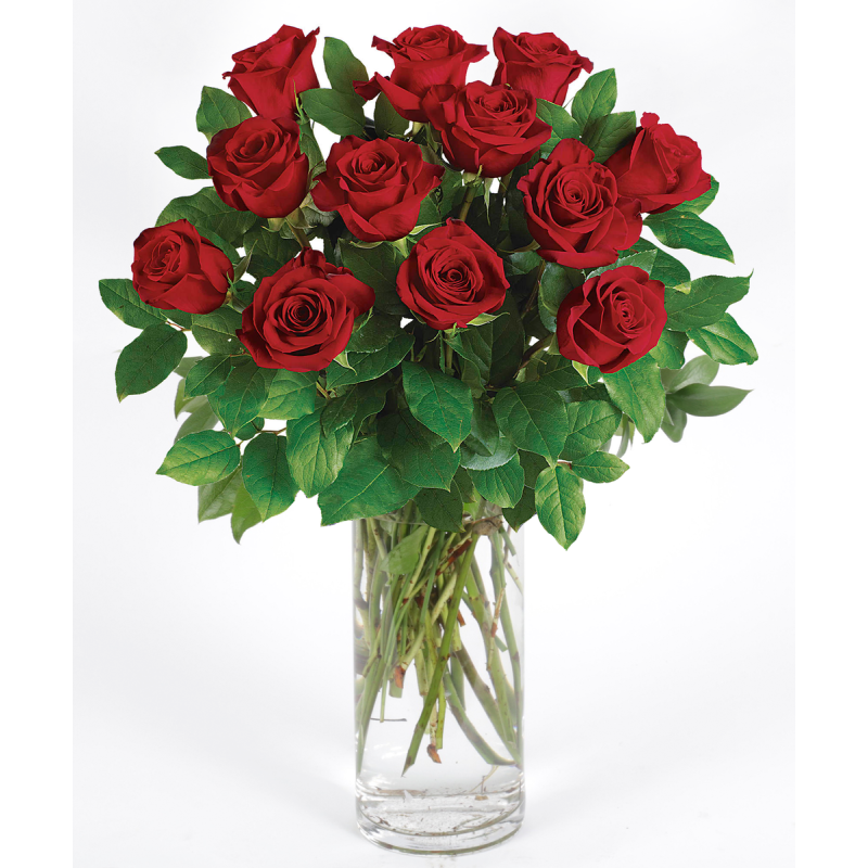 RED LONG STEM ROSES BY DOTTIES - Same Day Delivery