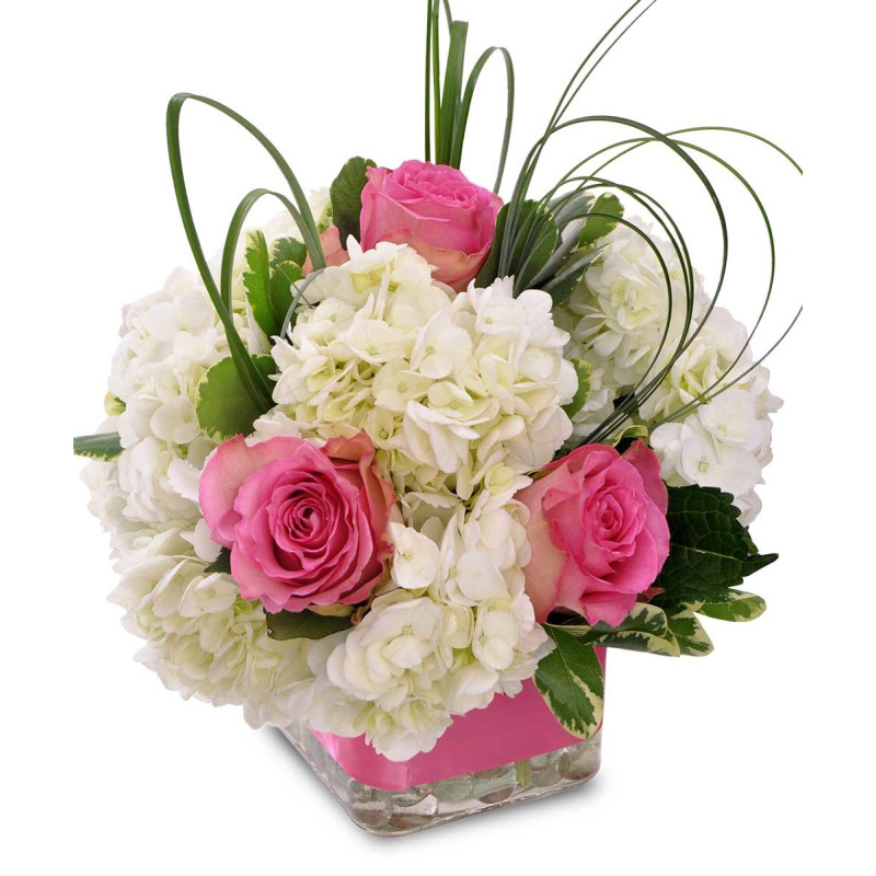 SWEET BABY GIRL - Same Day Delivery