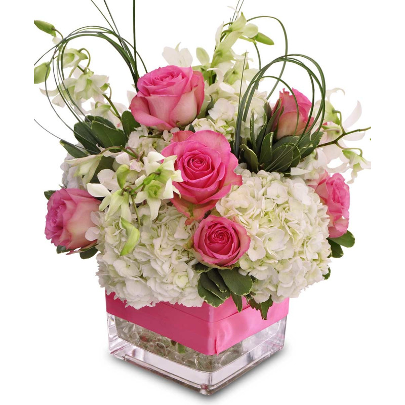 SWEET BABY GIRL - Same Day Delivery