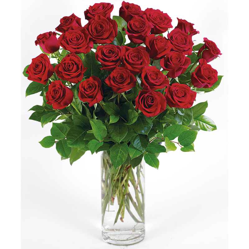 RED LONG STEM ROSES BY DOTTIES - Same Day Delivery