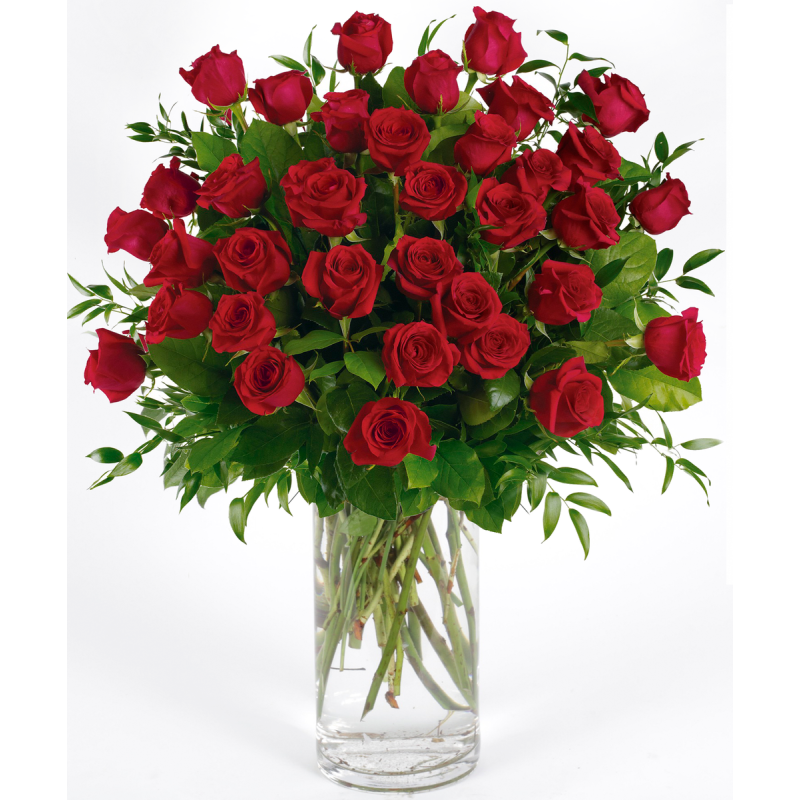RED LONG STEM ROSES BY DOTTIES - Same Day Delivery