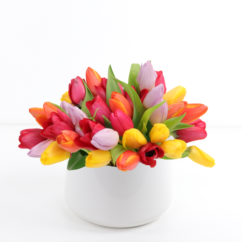 DOTTIES DUTCH TULIPS - Same Day Delivery