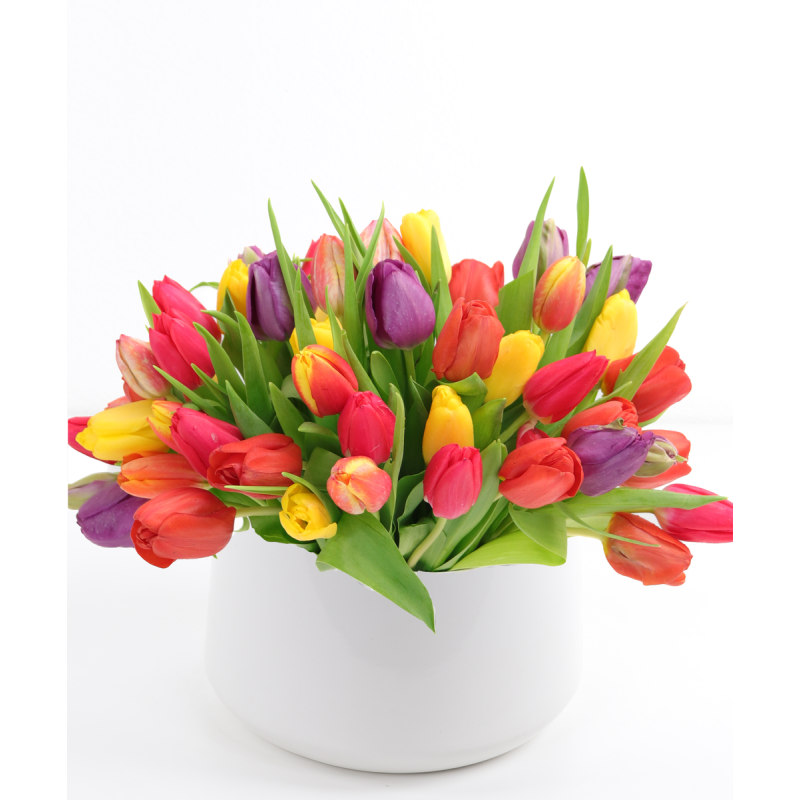 DOTTIES DUTCH TULIPS - Same Day Delivery