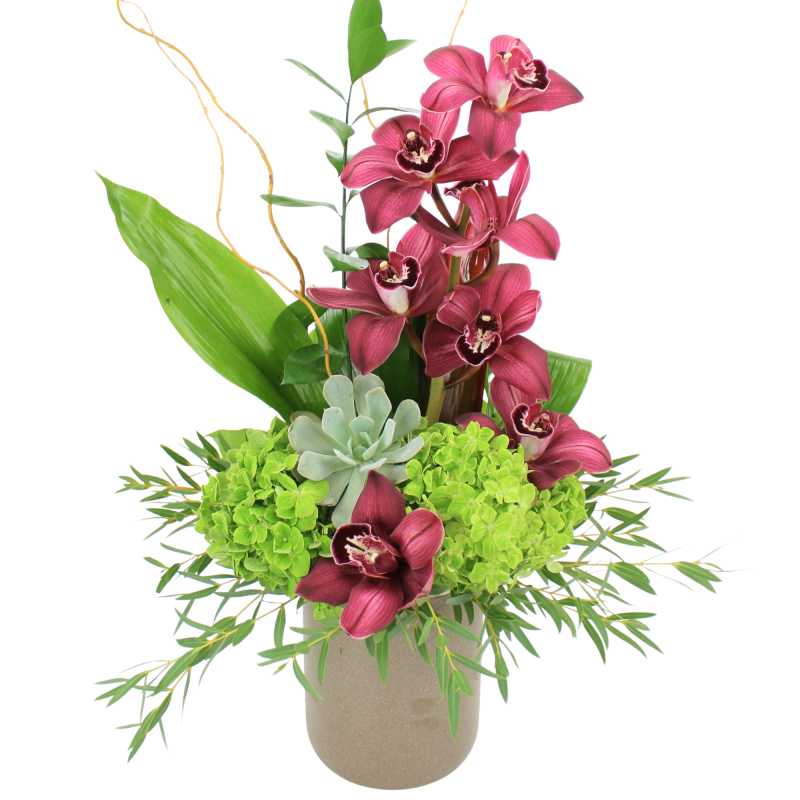 BURGUNDY ISLAND - Same Day Delivery