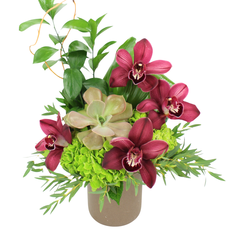 BURGUNDY ISLAND - Same Day Delivery