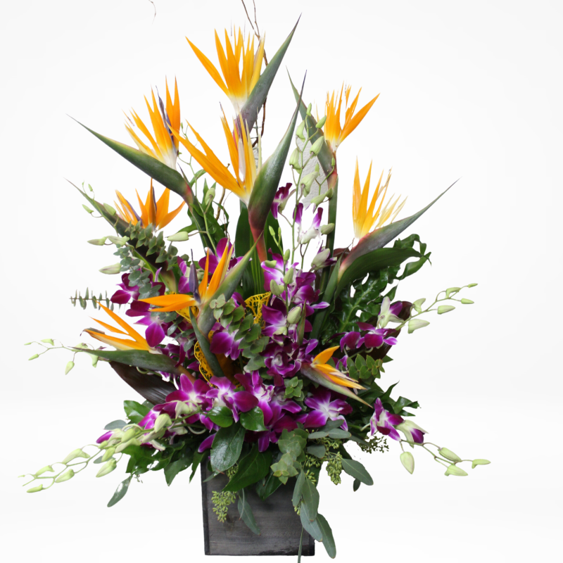 CALIFORNIA BIRDS - Same Day Delivery