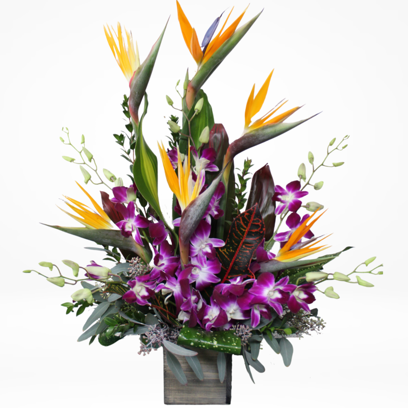 CALIFORNIA BIRDS - Same Day Delivery