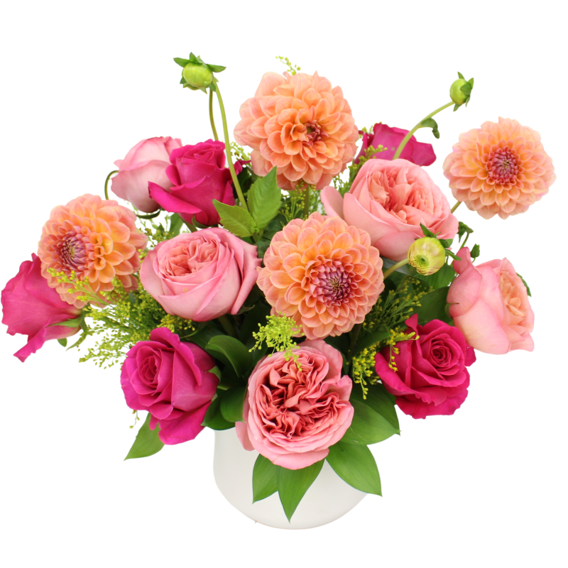 JULIA - Same Day Delivery