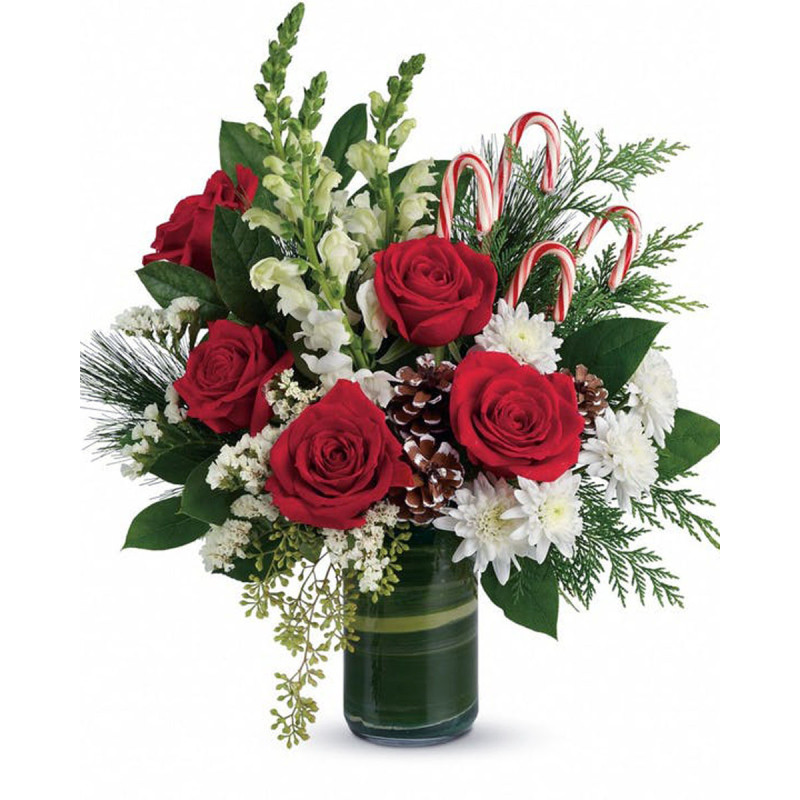 CHRISTMAS BLISS - Same Day Delivery