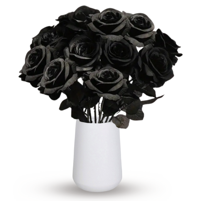 DOTTIES BLACK ROSES - Same Day Delivery