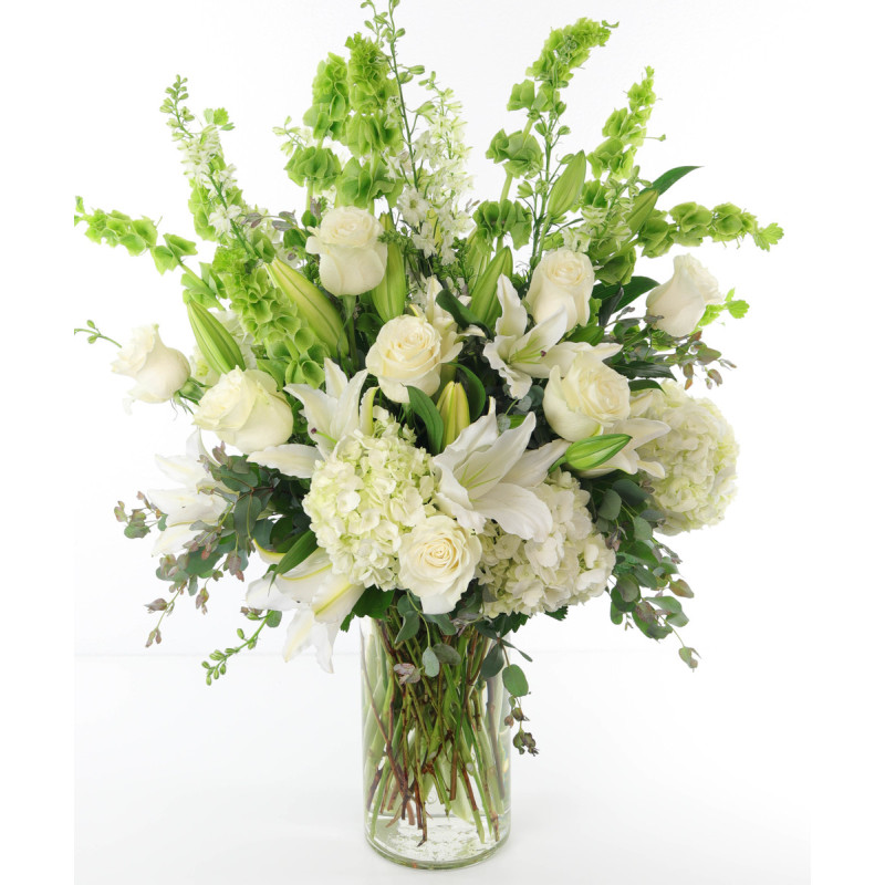 WHITE LIGHT - Same Day Delivery